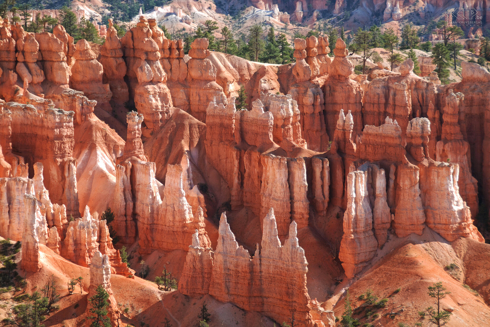 Bryce - Sunset Point Hoodoos in Bryce Canyon worden gevormd door twee processen. Het eerste proces doet zich voor in de winter wanneer water in kleine scheuren in de rots sijpelt, bevriest en uitzet. De rotsen bevatten ook veel kalk en dit lost een beetje op door regenwater. Uiteindelijk ontstaan deze rechtstaande rotspieken die hoodoos genooemd worden. Stefan Cruysberghs